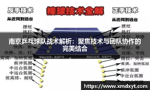 365完美体育