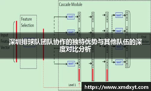 365完美体育官网